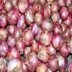 Cebolla Cabezona Roja Sin Pelar