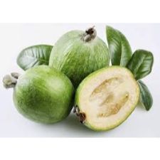 Feijoa