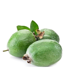 Feijoa