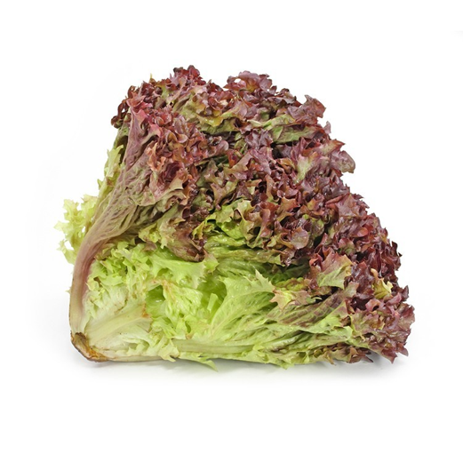 Lechuga Crespa Morada